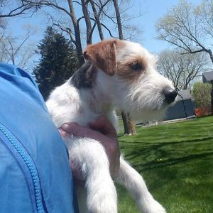 Meet your Posher, Julie